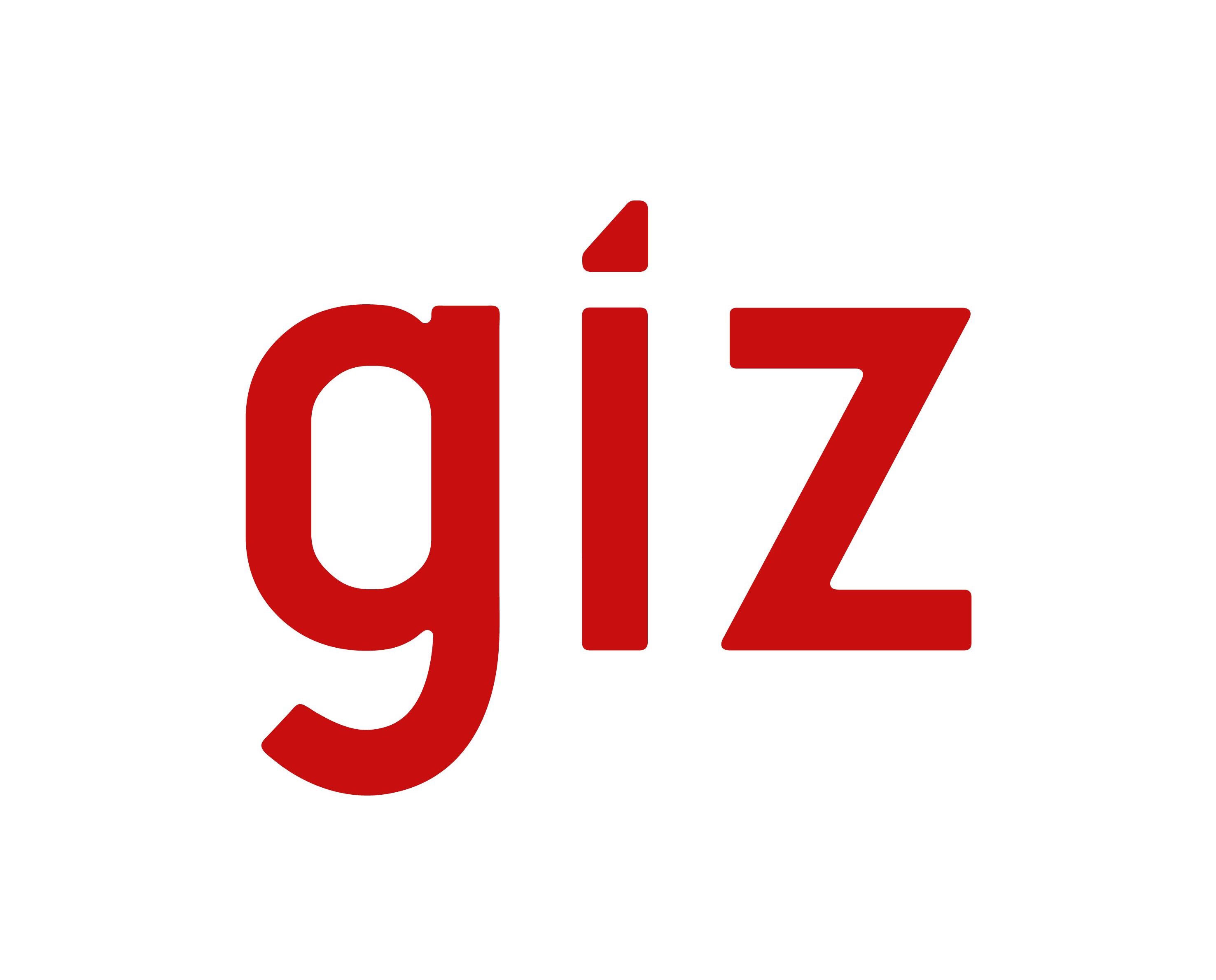 GiZ logo